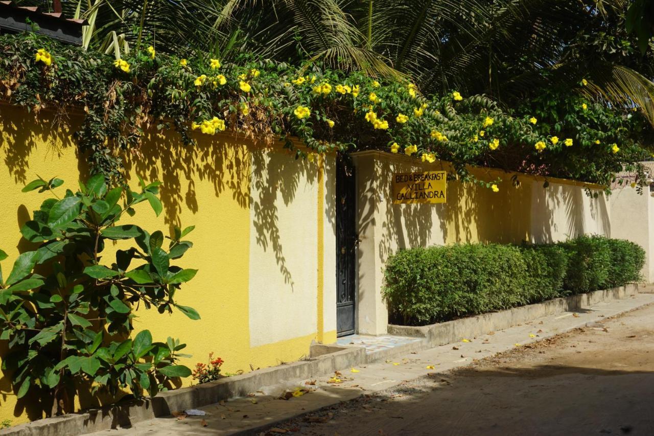 B & B Villa Calliandra Bijilo Kültér fotó